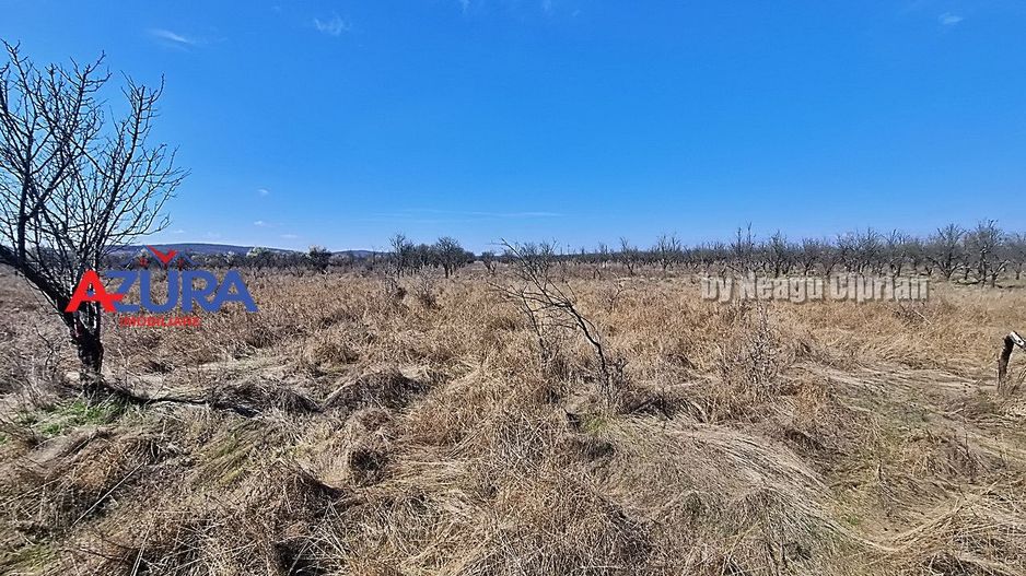 AZURA IMobiliare - Teren Iefin Bascov 3km de Giratoriu - Poză 5