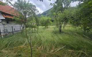 Casa de vacanta 1200 mp teren Valea Lotrioarei - Poză 8