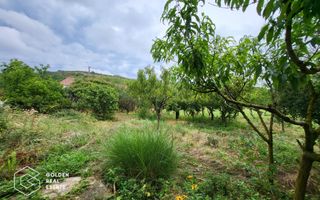 Casa cu D+P+E, 3500 mp teren, zona centrala, Paulis - Poză 19