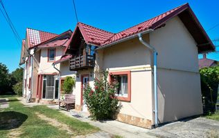 Casa de vanzare | 1.048 Mp teren | Romanesti