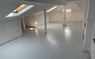 VANZARE - VILA 9 CAMERE  - Vasile Lascar, Mihai Eminescu, Bd. Dacia - Poză 14