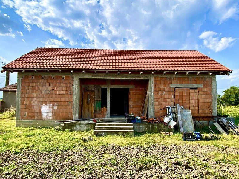 Casa la roșu în Izvin - Poză 2