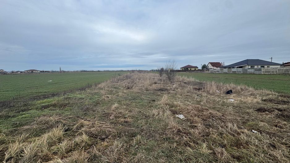 COMISION 0% | Teren intravilan | 2.790 mp | Front stradal 15 m | Șag - Poză 2