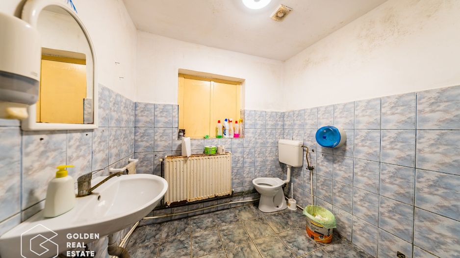 Hala industriala, Pecica, județul Arad - Poză 21