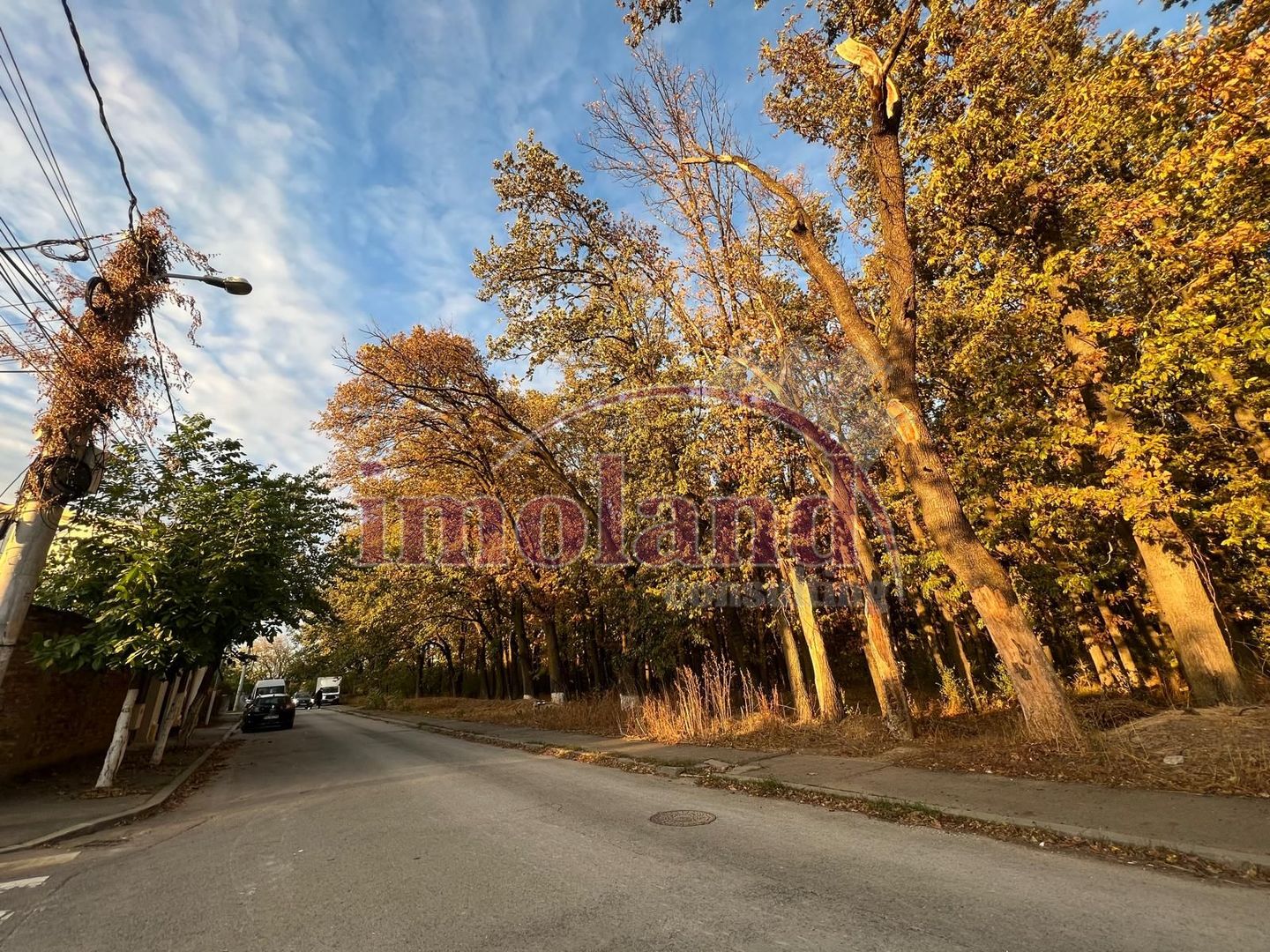 Teren intravilan - vanzare - Colentina - Padurea Andronache - Poză 5