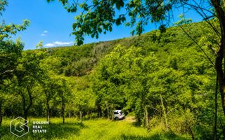 Teren intravilan, 1159 mp, localitatea Ghioroc - Poză 7