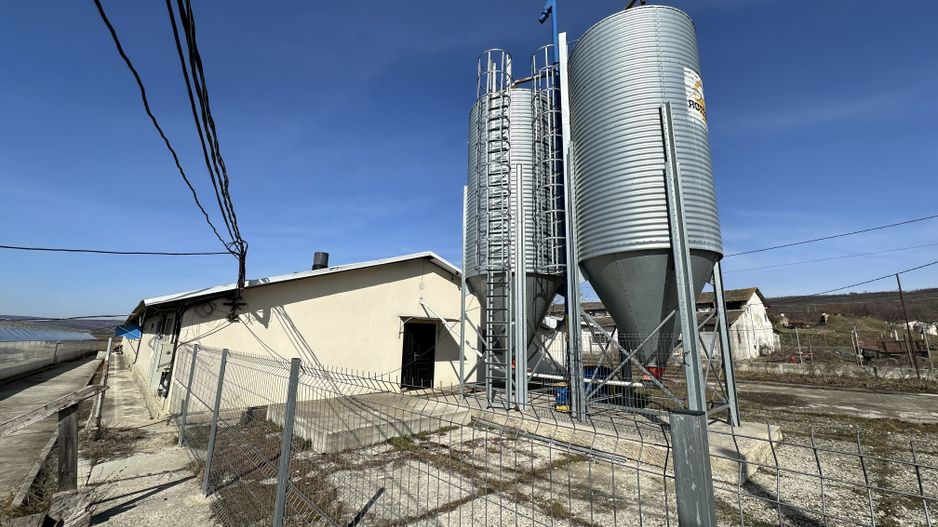 De Vânzare: Hală Modernă pentru Creșterea Porcilor – Complet Automatizată - Poză 2
