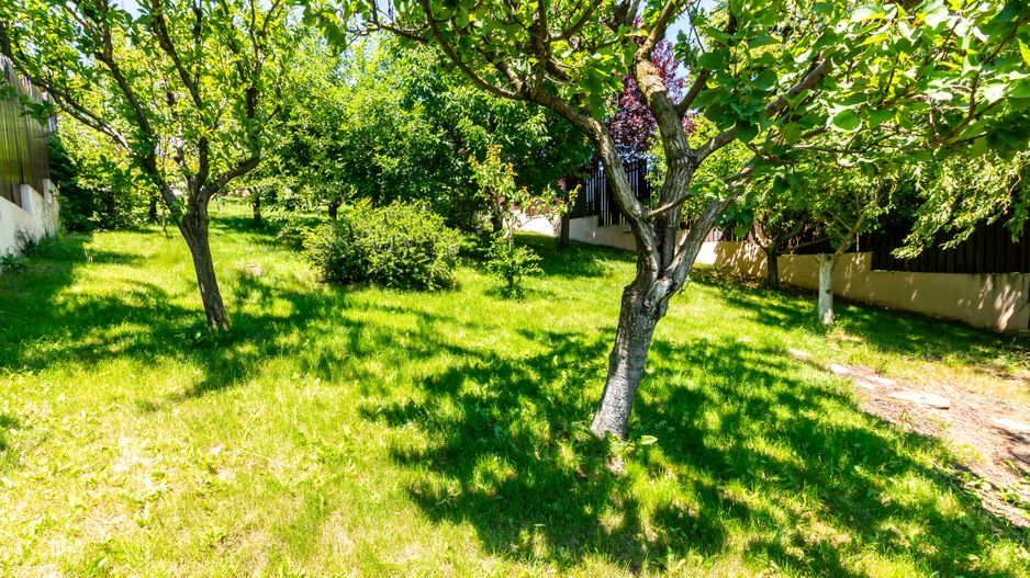 Vila premium de vanzare Balotesti/ piscina/ ponton/ deschidere la lac - Poză 56