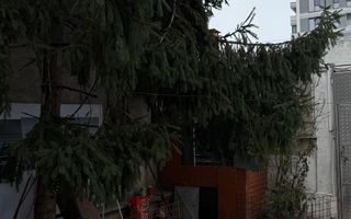 URGENT!, singur curte, constructie 1998, NEGOCIABIL - Poză 4