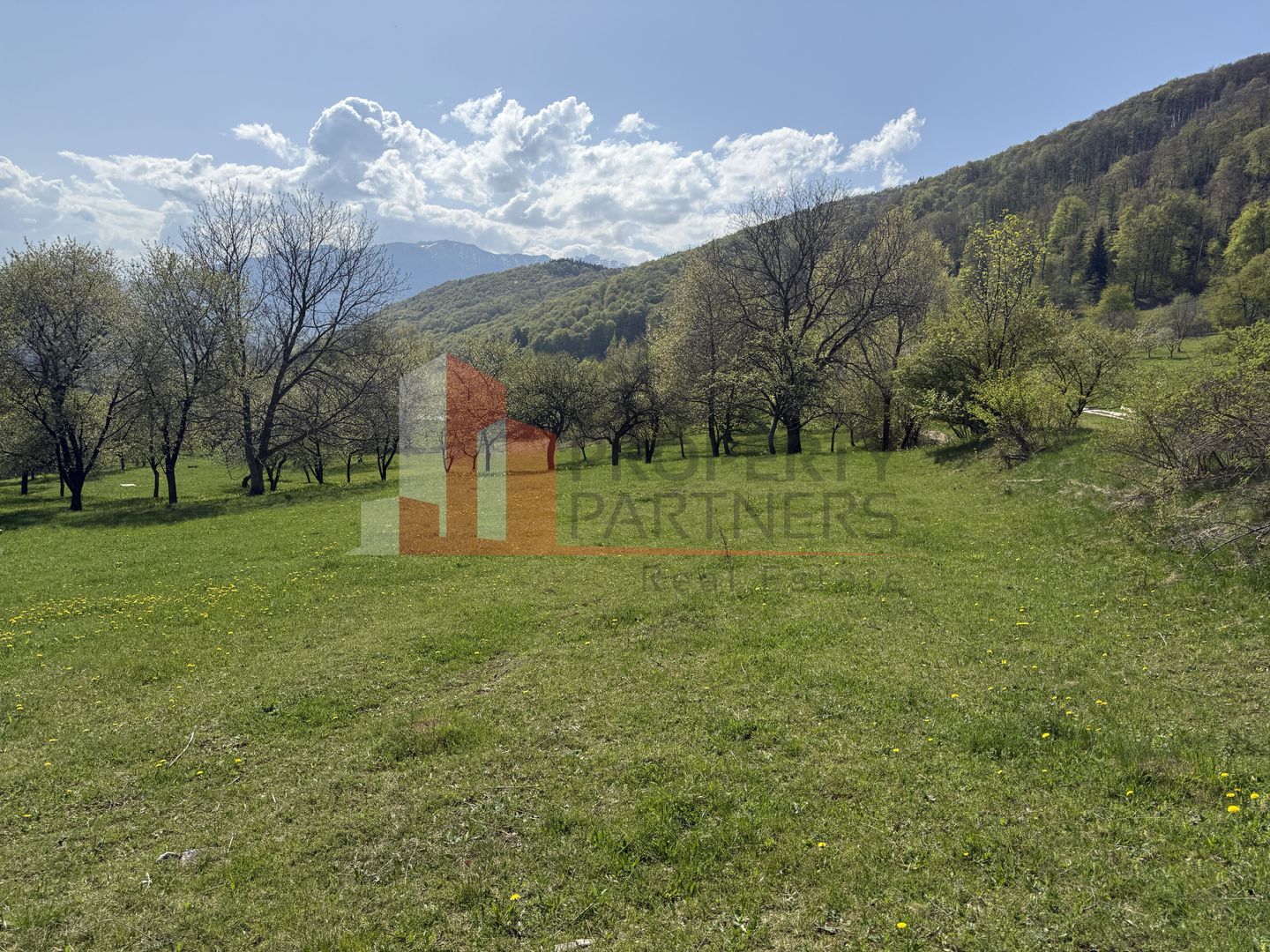 Terenuri Bran - Predelut  Priveliște către Bucegi și Postăvaru - Poză 1