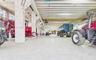 Complex industrial cu hale și teren  în Orțișoara - Poză 4