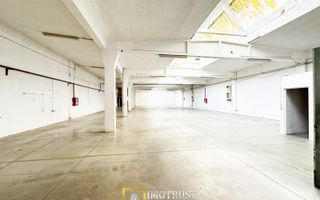 Hala industriala 675 mp, Arad central, acces TIR ideal depozit logitic - Poză 4