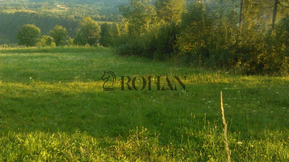 Teren intravilan 5360mp Bistrita Nasaud | Tiha Bârgăului - Poză 10