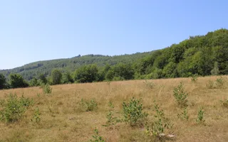 Terenuri Carpinis I parcelabil I Curent pe proprietati - Poză 20