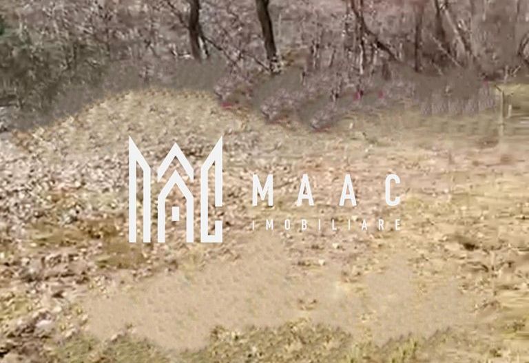 Teren | Intravilan | 1148 MP | Marginimea Sibiului - Poză 3