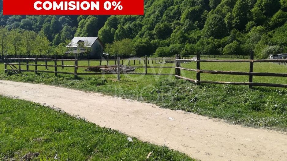 Teren extravilan - Talmaciu - Poză 1