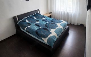Apartament de vânzare 3 camere 57mpu mobilat parter Ampoi 3 Alba Iulia - Poză 3