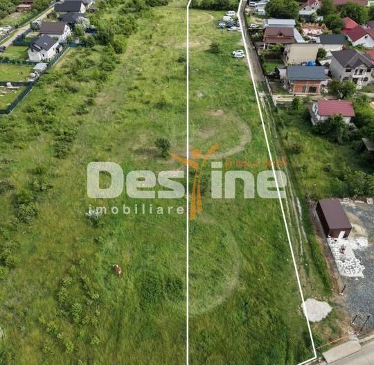 TEREN INTRAVILAN 4016 MP DANCU, COM. HOLBOCA, 2 FRONTURI STRADALE - Poză 4