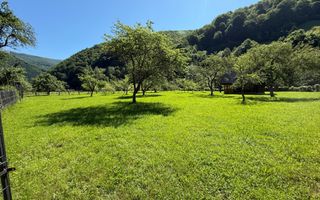 Teren Intravilan | 3050 Mp | Ieșire la Râu | Râul Sadului - Poză 5