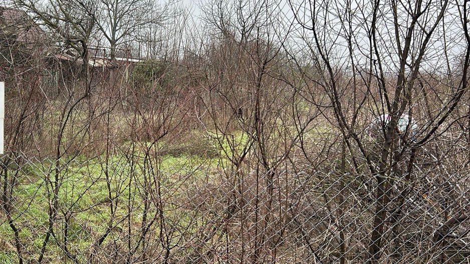 Teren intravilan de vânzare – 5.986 mp, Ciofliceni, Snagov (Ilfov) - Poză 3