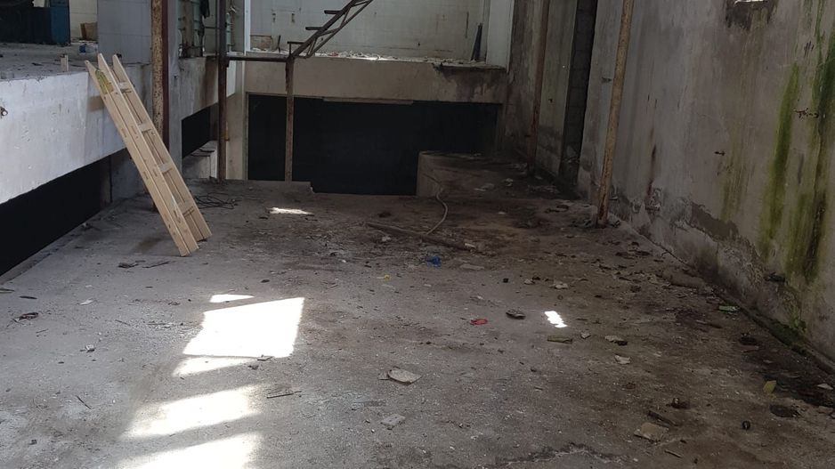 Teren - hala de vanzare | Damaroaia | Bucurestii Noi | Pajura - Poză 4