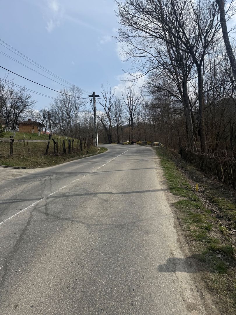 Teren intravilan la asfalt 2100 mp deschidere 21 mp la asfalt! - Poză 9