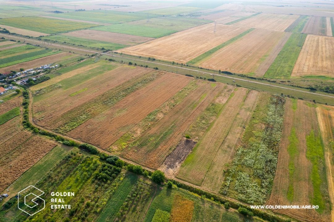 Teren intravilan 5000 mp, arabil in Sanleani - Poză 3