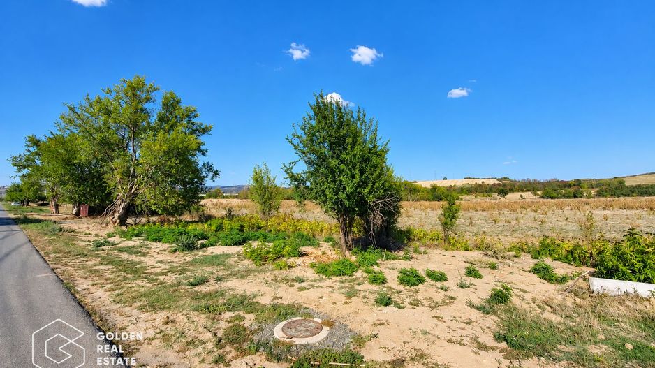 Teren Intravilan, 7000 mp, oras Lipova - Poză 2