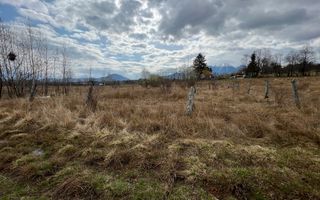 3600 mp Teren pentru investitii - Poză 2