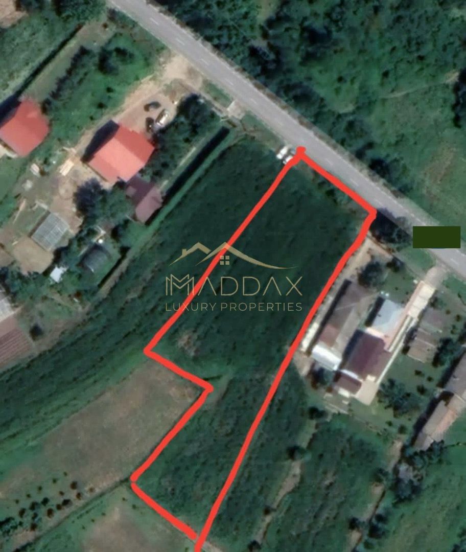 Teren INTRAVILAN***2828 mp// Silistea SNAGOVULUI - Poză 1