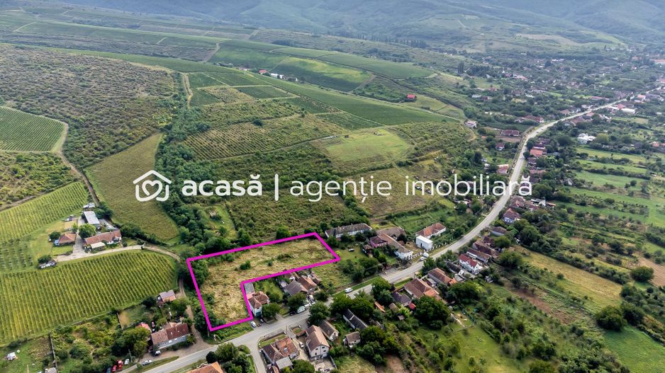 Teren de vis în Ghioroc! Stațiunea supranumită ”Litoralul Vestului” - Poză 7