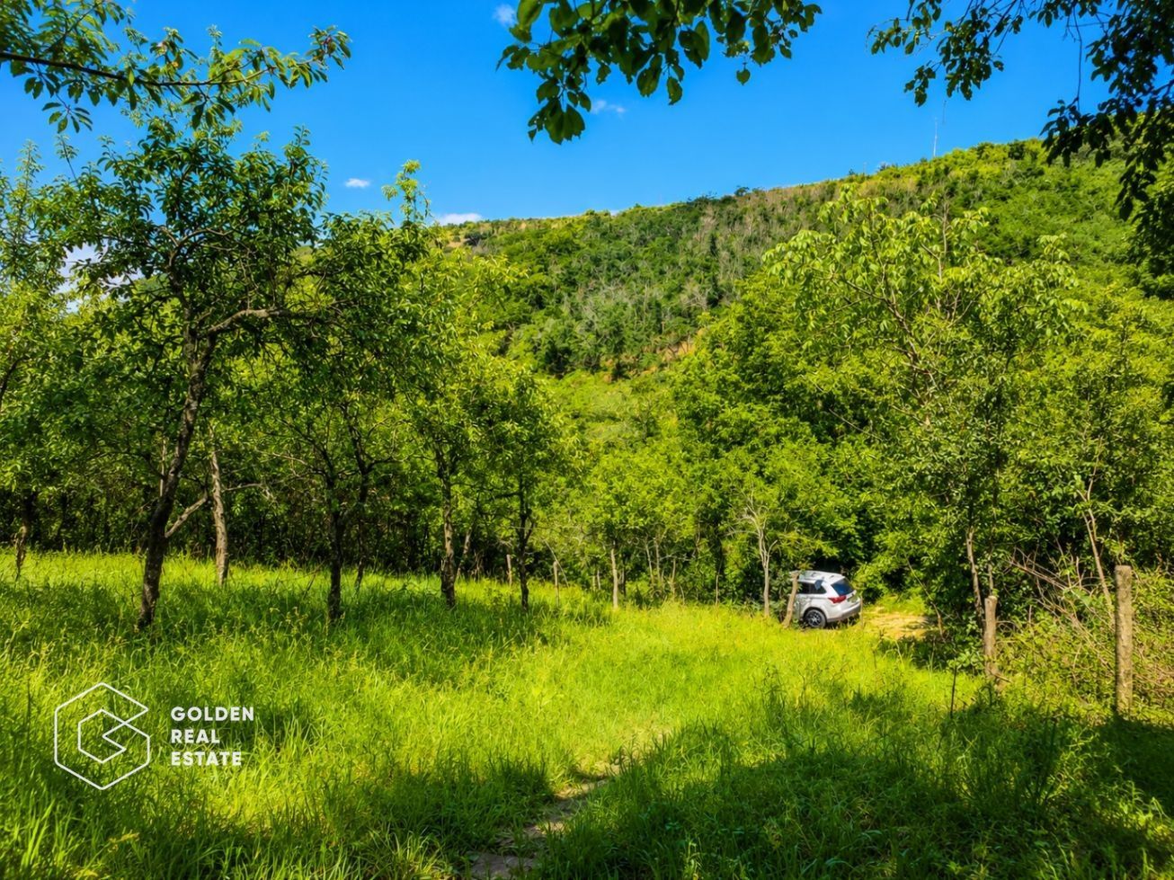 Teren intravilan, 1159 mp, localitatea Ghioroc - Poză 1