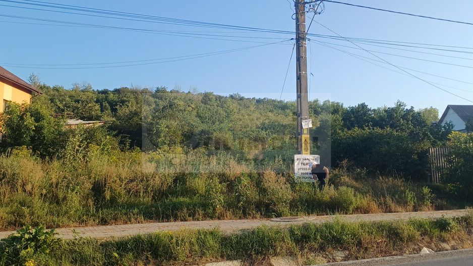 TEREN TOMESTI 35 EURO MP NEGOCIABIL - Poză 1