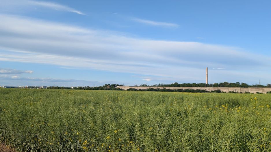 Teren de vanzare Domnești - Str. Narciselor - 20312mp - Poză 5