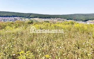 Teren  intravilan 702 mp. Corunca - Poză 5