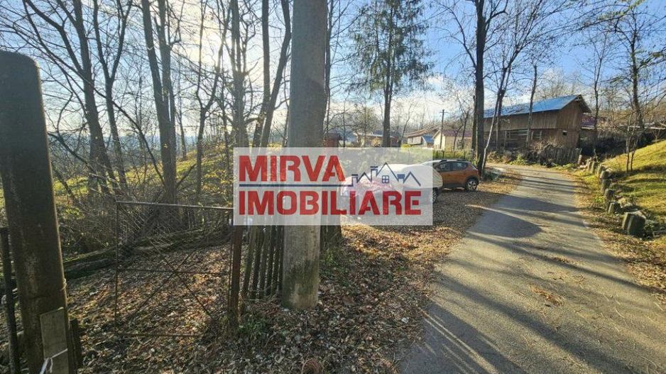 Vanzare casa plus anexa, teren 3843 mp, in Sat Pietriceaua - Poză 4