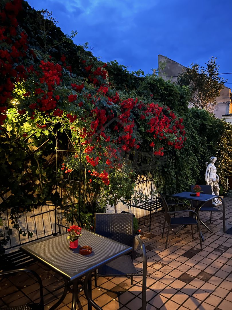 Vila de vanzare in zona Centrala/Orasul de jos - Poză 57