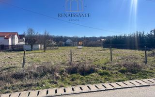 Dumbravita Teren Intravilan 1466mp Front 29m | Langa Padure - Poză 1