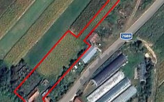Casa la tara in Petid, Bihor, teren 4.122 mp, acces auto - Vanzare - Poză 17