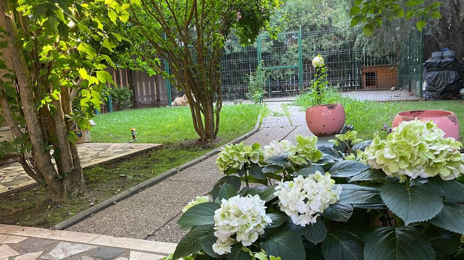 Vila 8 camere | padurea Baneasa | teren 383 mp - Poză 21