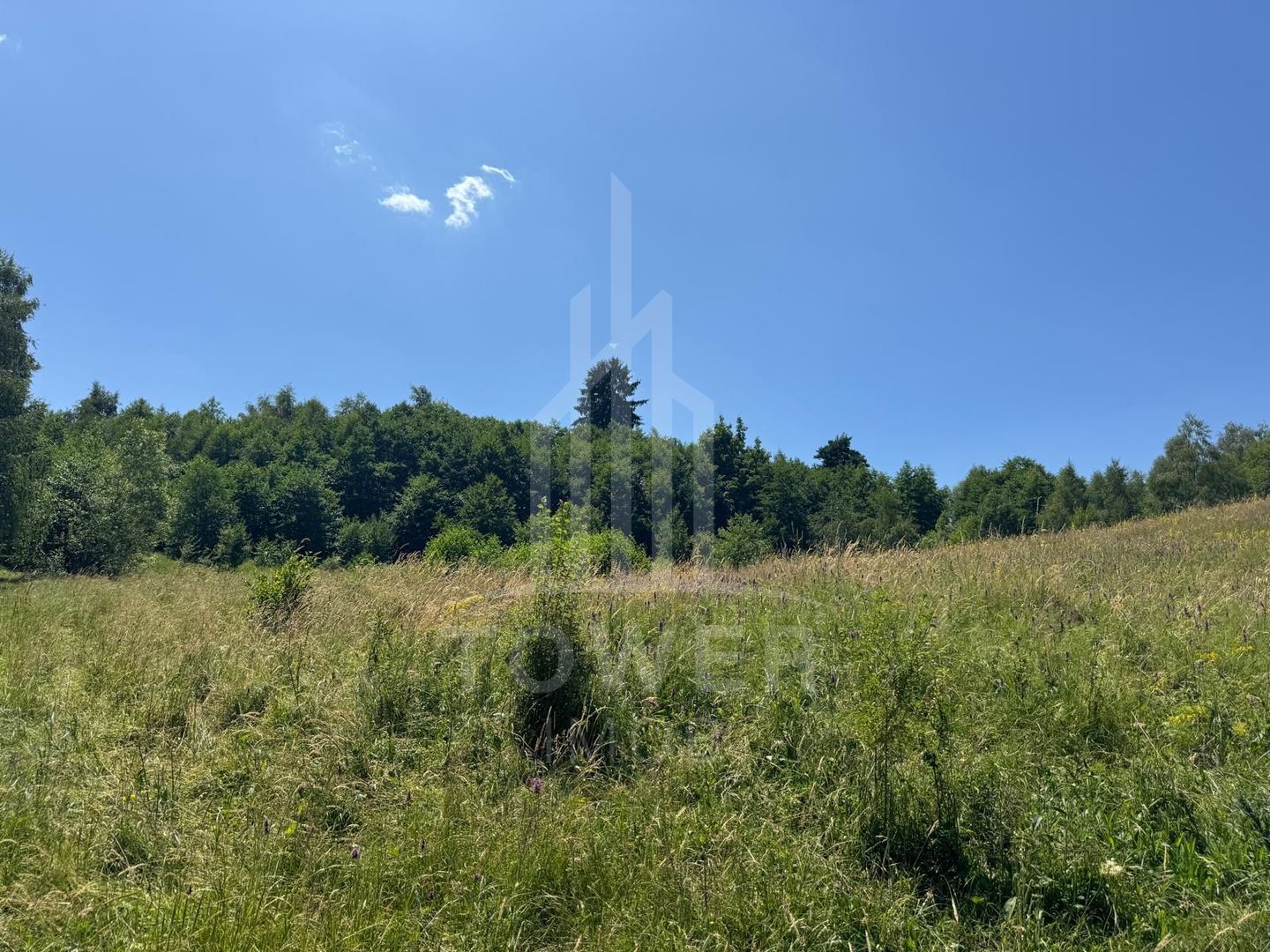 Teren intravilan 4600mp - 55 EUR/mp - EXCLUSIVITATE CISNADIOARA - COMISION 0% - Poză 7