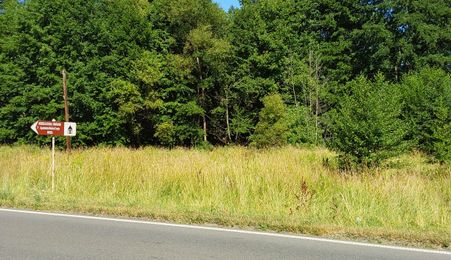 TEREN INTRAVILAN ÎN MARGA-LA DN68 JUD.CARAȘ-SEVERIN