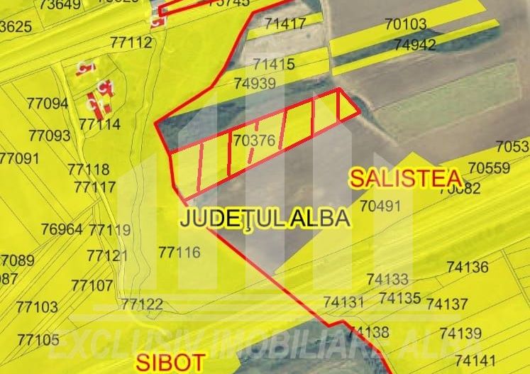 Teren agricol de vanzare, Salistea - Schiță 4