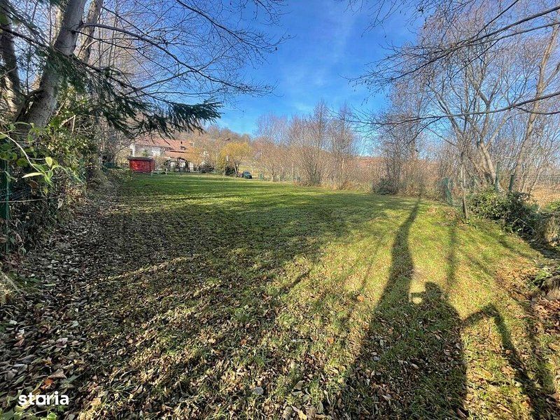Teren 3349 mp de Vânzare | Bran – Panoramă Munții Bucegi - Poză 5