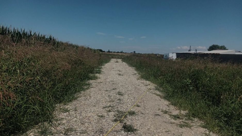 Teren de vanzare, Ordoreanu, Ferma de Struti - Poză 8