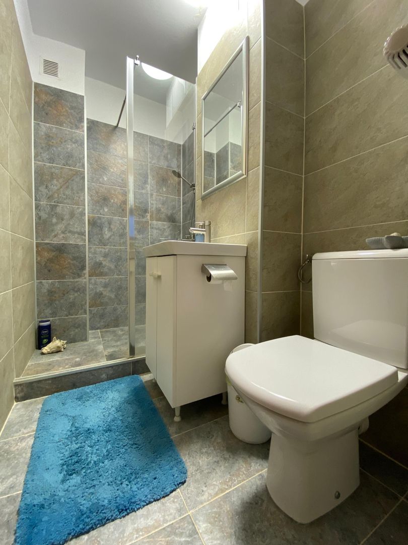 4 camere Stirbei Voda - Poză 9