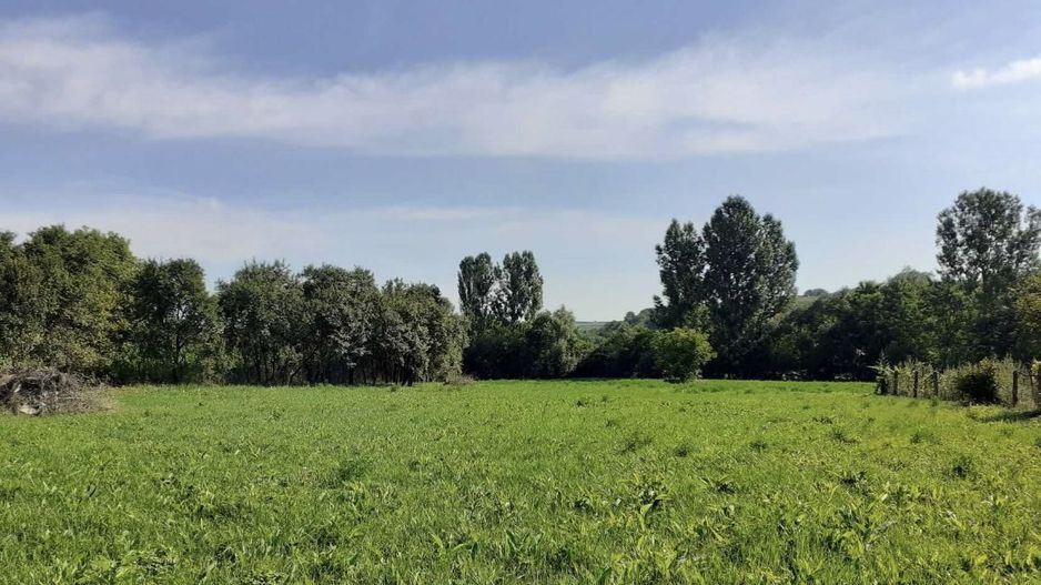 Vand casa cu gradina 4000 mp ca 12 Km de statiunea geotermala Tasnad - Poză 3