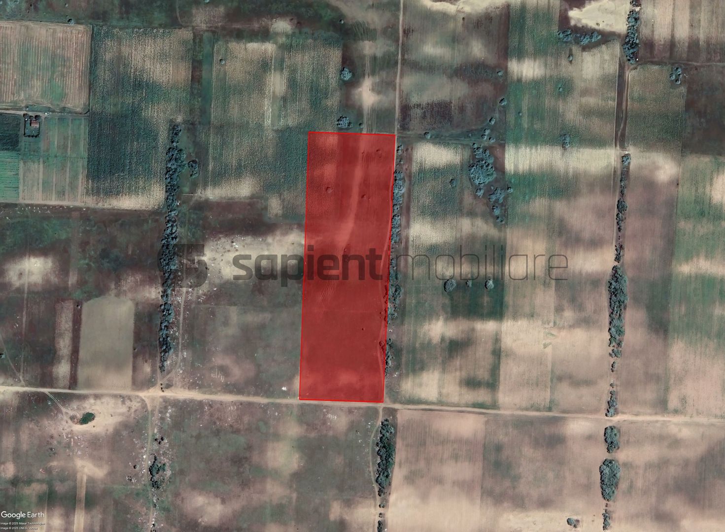 Sapient | Teren agricol _ loc. Desa, jud. Dolj - Poză 3