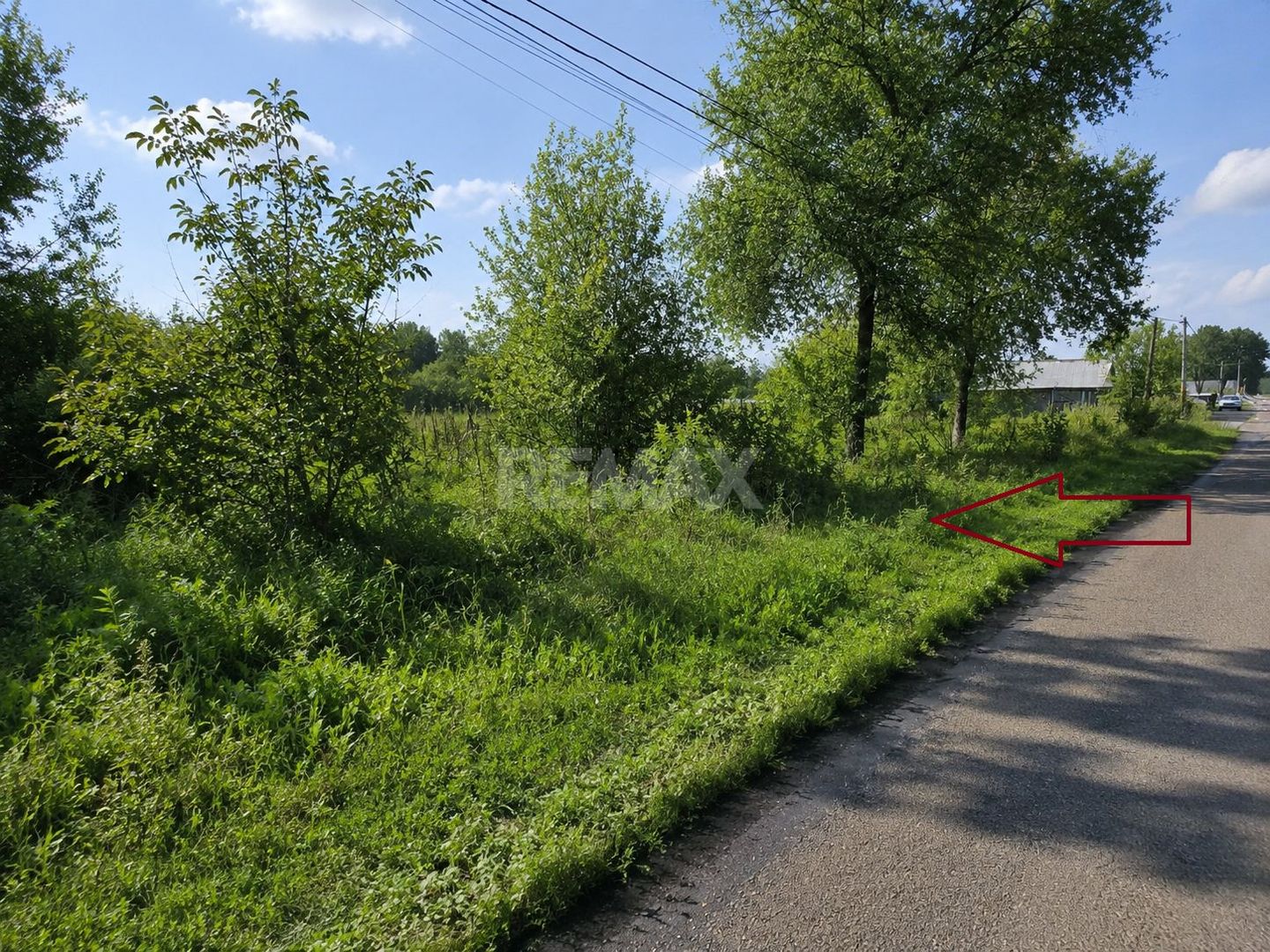 Teren pentru construcții – 33 ari, Botnăreștii Noi, Raionul Anenii Noi - Poză 3