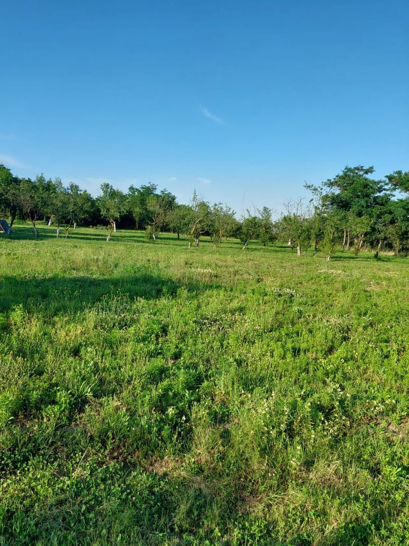 Vanzare casa deosebita, Suseni, Arges - Poză 14